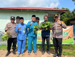 Dalam Rangka Mendukung Program Pemerintah, Polsek Bulang Panen Sayur Hasil Perkebunan