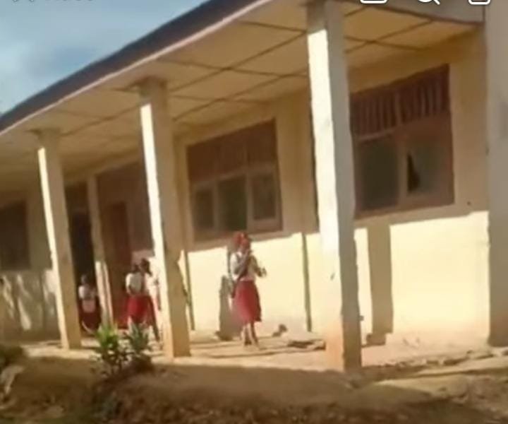 Viral, Sekolah SDN No. 078481 Uluna'ai Hiligo'o Laowo Idanogawo Nias Anak Masuk Sekolah Tanpa Guru Pengajar