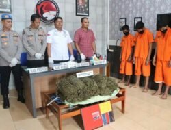Polres Langsa Amankan 10 Kilogram Ganja, 3 Tersangka Berhasil Ditangkap