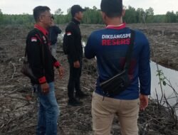 Polres Kepulauan Meranti Selidiki Dugaan Pembabatan Hutan Mangrove di Desa Maini