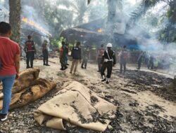 Pondok Sabung Ayam Ilegal Dibakar, Polisi Bertindak Tegas