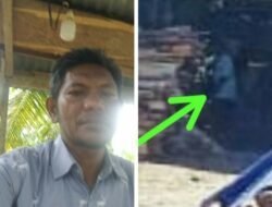 Pengusaha Pemotongan Kayu (Sawmill) Diduga Kuat Melalaikan Keselamatan Nyawa Pekerja