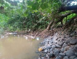 Terkait Tumbangnya Pohon di Aliran Sungai, Kecam Banjir Besar, PJ Geuchik Sidorejo Respon Tanggapan. Demi Kepentingan Warga,