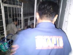 Rumah Orang Tua Wartawan di Padangsidimpuan Dibakar OTK, Keluarga Selamat
