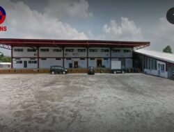 Diduga Ada Pengiriman Kecambah Kelapa Sawit Tanpa Dokumen dari Bandara Kualanamu ke Pontianak