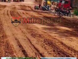 Diduga Penimbunan Pantai Indah di Tanjung Uma Lubuk Baja Tidak Mengantongi Izin Resmi, Diminta BP Batam, DLH, APH segera Turun Pengecekan 