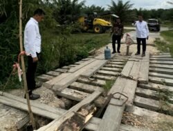Wakil Bupati Aceh Timur T. Zainal Abidin Tinjau Langsung Jembatan Hampir Ambruk di Desa Alue Canang.