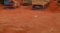 Diminta Polda Kepri Tindak Aktivitas Cut and Fill di Nongsa