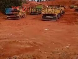 Diminta Polda Kepri Tindak Aktivitas Cut and Fill di Nongsa