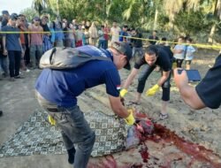 Polres Aceh Timur Amankan Terduga Pelaku Pembunuhan di Peureulak Barat