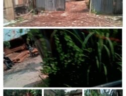 Dugaan Praktik Logging di Kampar Disorot, Diminta Pengawasan Berwenang