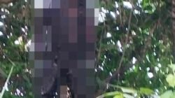 Dihebohkan Sesosok Mayat di Kawasan Bengkong Garama