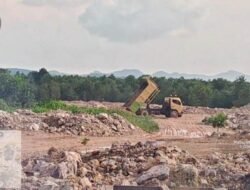 Diduga Penimbunan Pohon Bakau di Tembesi Ilegal, Diminta Pihak Berwenang Diusut