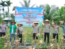 Polres Meranti Ikuti Panen Raya Jagung Nasional dan Launching Program Ketahanan Pangan Polri