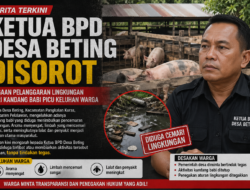 Ketua BPD Desa Beting Disorot, Dugaan Pelanggaran Lingkungan dari Kandang Babi Picu Keluhan Warga