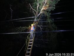 Selatpanjang Padam Listrik Serentak Malam Ini, Begini Respons PLN