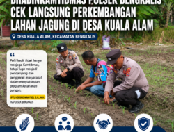 Dukung Ketahanan Pangan, Bhabinkamtibmas Polsek Bengkalis Cek Langsung Perkembangan Lahan Jagung di Desa Kuala Alam