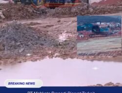 PT. Mahkota Properti Disorot Terkait Aktivitas Pematangan Lahan Diduga llegal di kawasan Tanjung Piayu