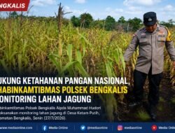 Dukung Ketahanan Pangan Nasional, Bhabinkamtibmas Polsek Bengkalis Monitoring Lahan Jagung di Desa Ketam Putih