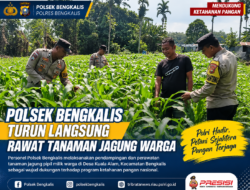 Dukung Program Ketahanan Pangan, Personel Polsek Bengkalis Turun Langsung Rawat Tanaman Jagung Warga