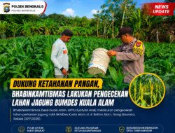 Dukung Ketahanan Pangan, Bhabinkamtibmas Cek Lahan Jagung BUMDes Kuala Alam