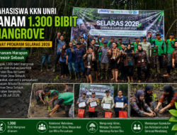 Mahasiswa KKN Universitas Riau Tanam 1.300 Bibit Mangrove di Desa Sebauk Lewat Program SELARAS 2026