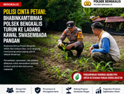 Polisi Cinta Petani: Bhabinkamtibmas Polsek Bengkalis Turun ke Ladang Kawal Swasembada Pangan