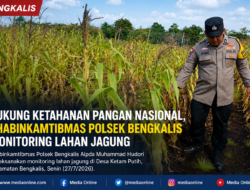 Dukung Ketahanan Pangan Nasional, Bhabinkamtibmas Polsek Bengkalis Monitoring Lahan Jagung di Desa Ketam Putih