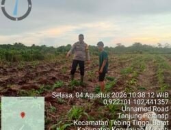 Polsek Tebing Tinggi Barat Lakukan Pembinaan Petani Jagung Manis Dukung Ketahanan Pangan