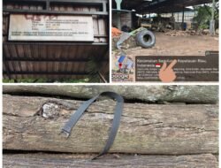 Aktivitas Pengolahan Kayu CV Wahyu di Sagulung Disorot, Perizinan dan Penerapan K3 Dipertanyakan
