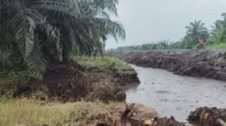 Dugaan Perubahan Aliran Sungai Buluh, APARI Desak PT SHL Diperiksa