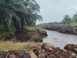 Dugaan Perubahan Aliran Sungai Buluh, APARI Desak PT SHL Diperiksa