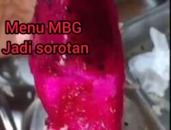 Menu MBG Tiga Kali Dikeluhkan, Kepsek SMAN 1 Tuhemberua Ancam Hentikan Kerja Sama SPPG