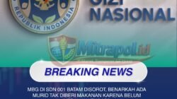 MBG di SDN 002 Batam Disorot, Benarkah Ada Murid Tak Diberi Makanan karena Belum Kerjakan Tugas?