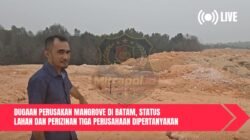 Dugaan Perusakan Mangrove di Batam, Status Lahan dan Perizinan Tiga Perusahaan Dipertanyakan