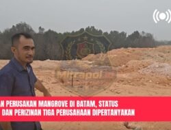 Dugaan Perusakan Mangrove di Batam, Status Lahan dan Perizinan Tiga Perusahaan Dipertanyakan