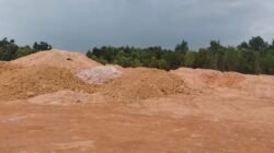 Diduga Timbun Hutan Lindung di Luar Batas PL, 5.500 Meter Persegi Mangrove di Batam Terancam